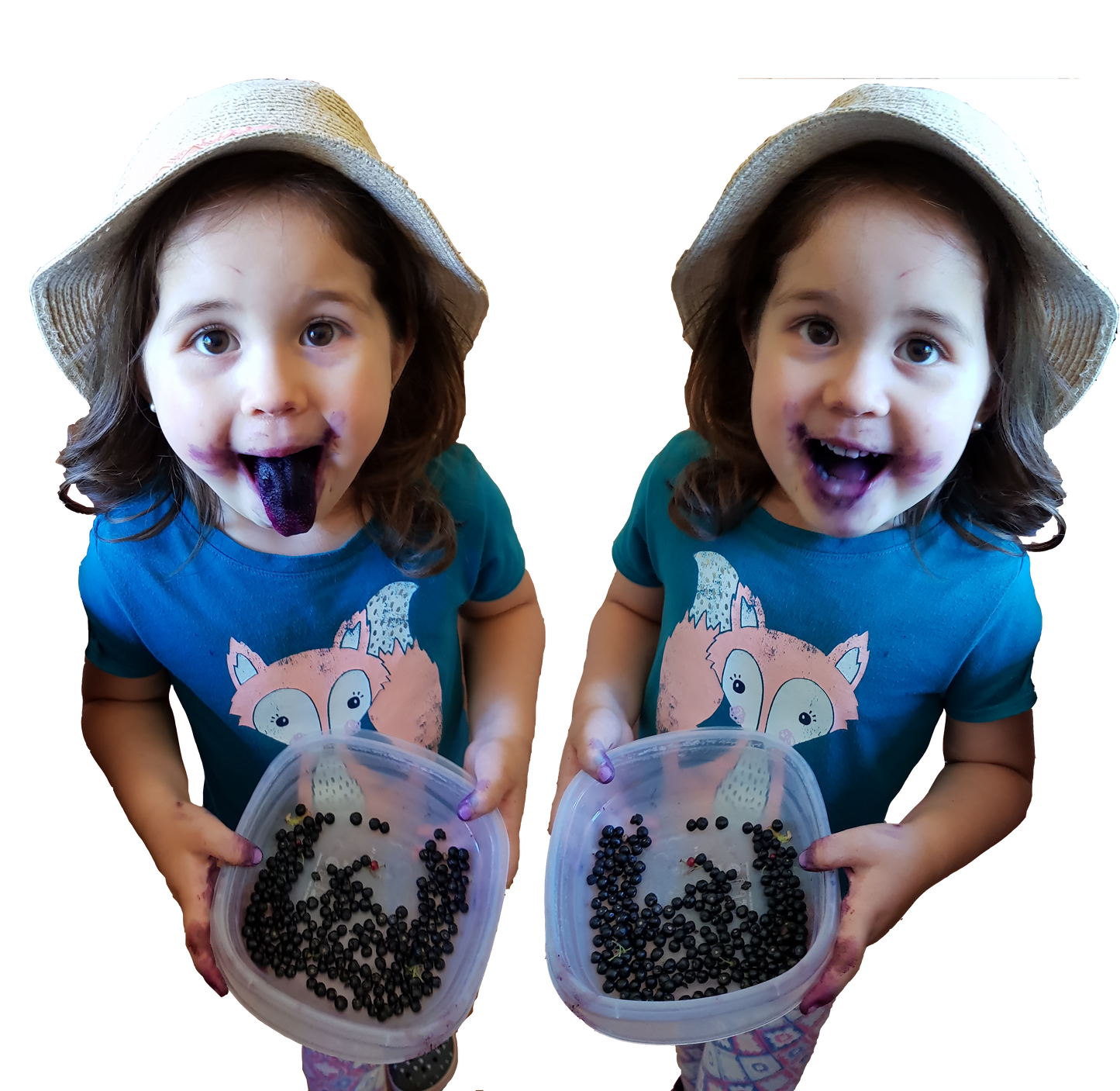 MaquiBerry Premium Extract
