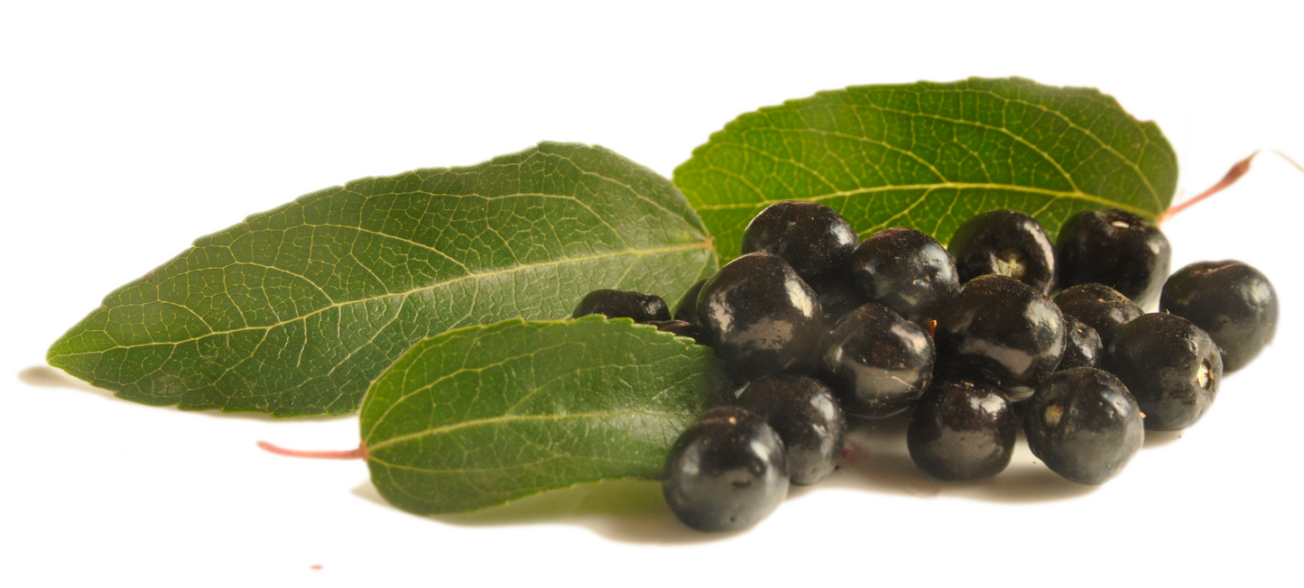 MaquiBerry Premium Extract